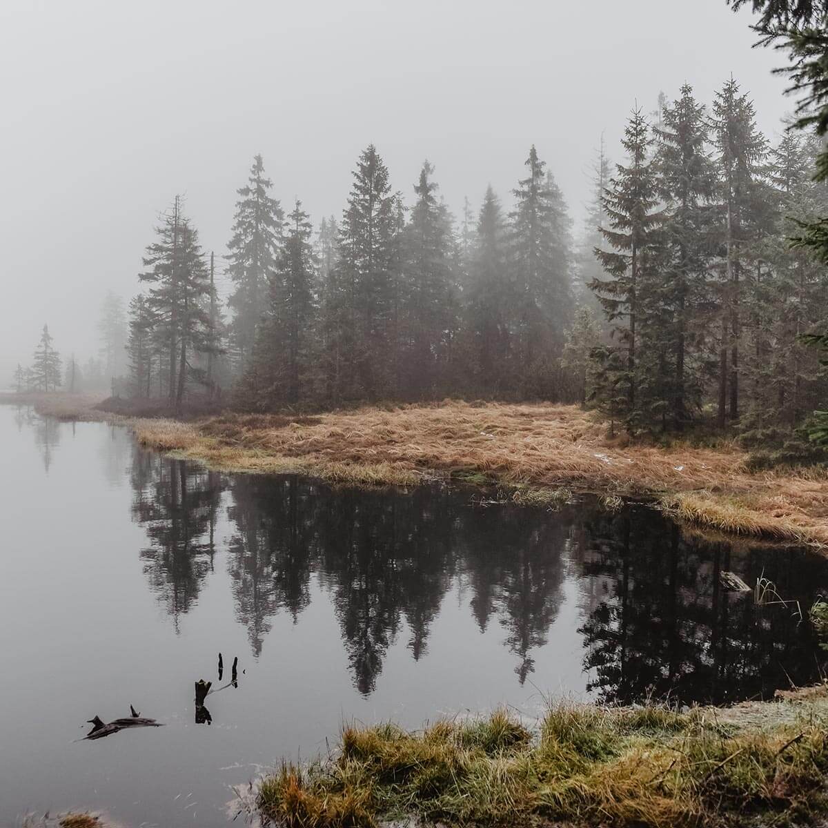 Jezero u lesa v mlze, Krušné hory